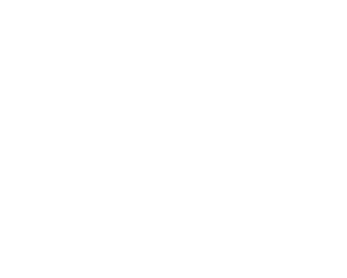 redbullbragantinologowhite