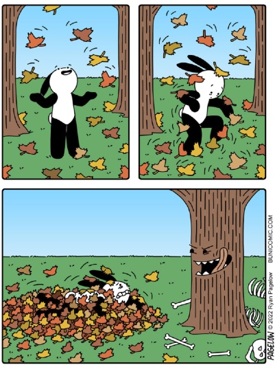 buni.jpg