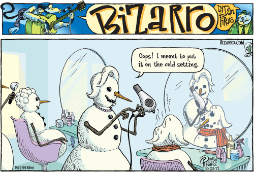 2022 10 23 bizarro