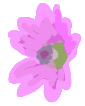 4867BAAA-1C40-4DD0-84B0-53EC38B891DA.png