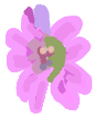 C395A339-C0FA-4E8E-8D97-D74E0B191FA5.png