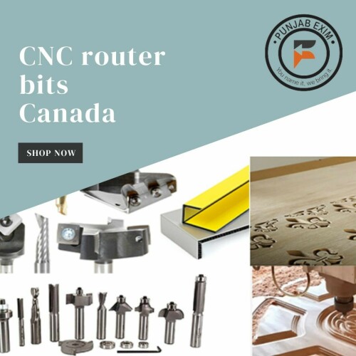 If you are looking for cnc router bits Canada, then you are at the right place. Punjab Exim carry one of the widest selections of router bits, all made and tested to strict standards of quality and performance. Visit: https://punjabexim.com/cnc-router-bits/