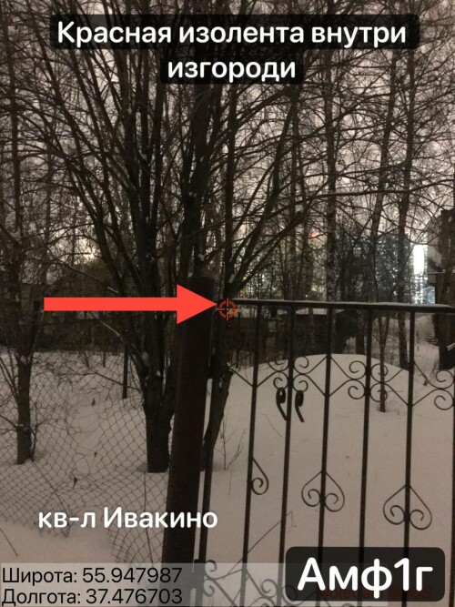 IMG_3098.jpeg