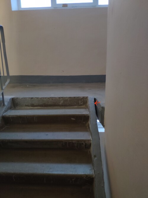 IMG_20230302_184110.jpeg