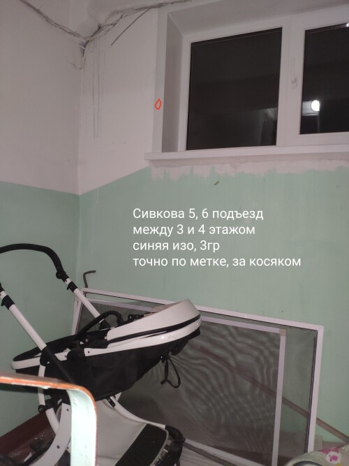 IMG_20230302_233556.jpeg
