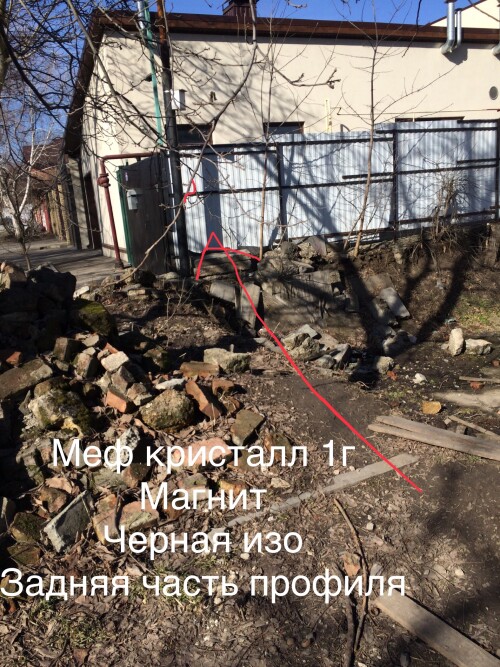 IMG_E2229.jpeg