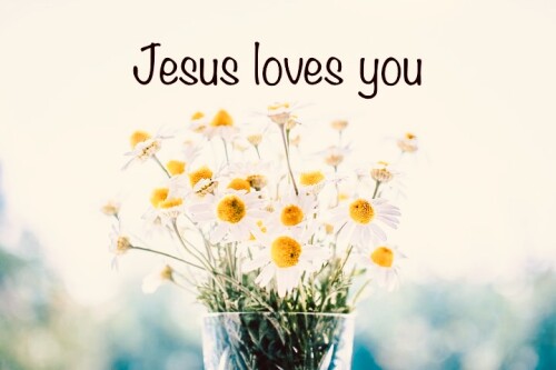 daisies in glass Jesus loves you