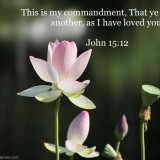 love-one-another-Bible-verse
