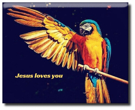 parrot-Jesus-loves-you.jpeg
