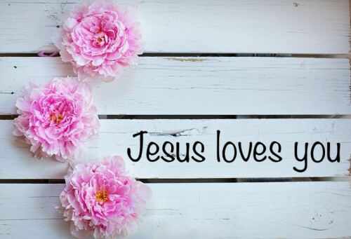 pink-carnation-Jesus-loves-you.jpeg