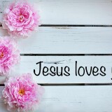pink-carnation-Jesus-loves-you