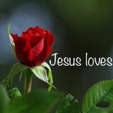 rose-bloom-Jesus-loves-you