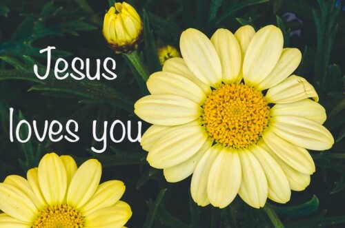 yellow daisies Jesus loves you