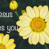 yellow-daisies-Jesus-loves-you