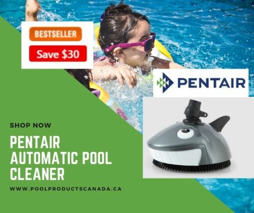 Pentair-Automatic-Pool-Cleaner.jpeg