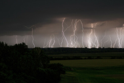 Thunders.jpeg