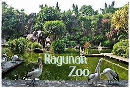 Ragunan1.jpeg