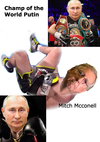 putin_vs_mcconell.jpeg