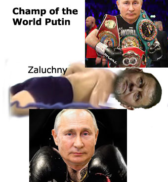 putin_vs_zaluchny.jpeg