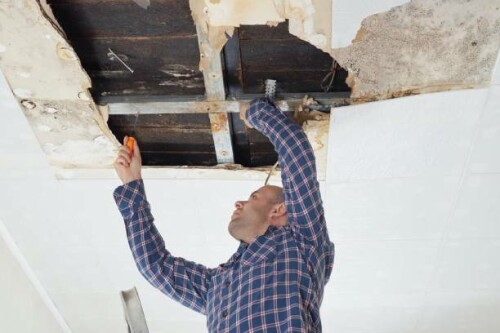 Ranmar Painting Water Damage Repair Company Newcastle