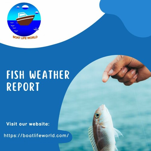 Plan your fishing trips with precision using our Fish Weather Report. Visit: https://boatlifeworld.com/