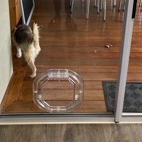 Glass-Pet-Door-Replacement-In-Adelaide.jpeg