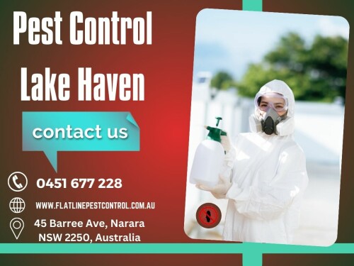 flatline-Pest-Control---Pest-Control-Lake-Haven.jpeg