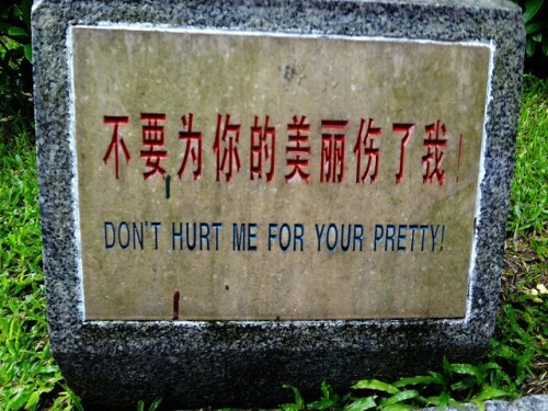 chinglish_signs30.jpeg