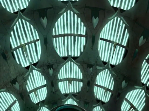dom-2930ce060a705da48.jpeg