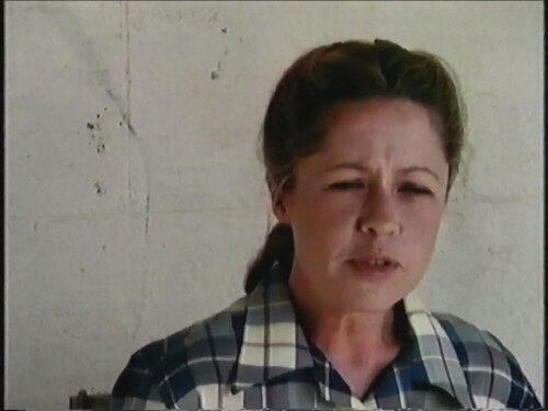 The-Shiralee-1987.jpeg