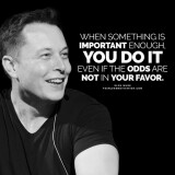 elon-must-quotes-do-it