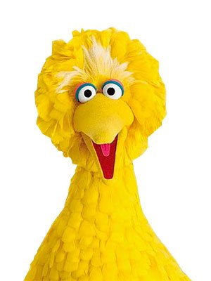 big-bird-portrait_0.jpeg