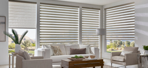 Dual-Roller-Shades-in-Edmonton-Canada.jpeg