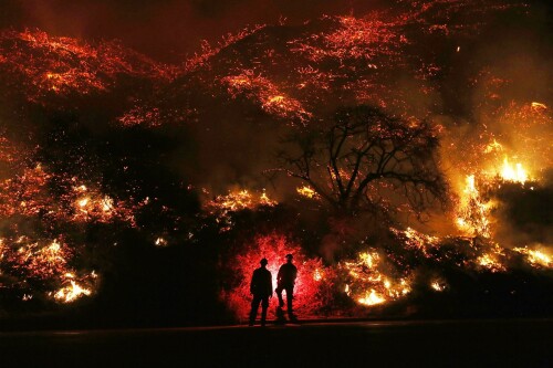 California-Fires-2020-Is-Becoming-an-Unforgettable-Year.jpeg
