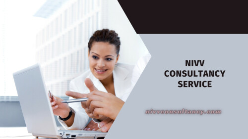 Nivv Consultancy service (5)