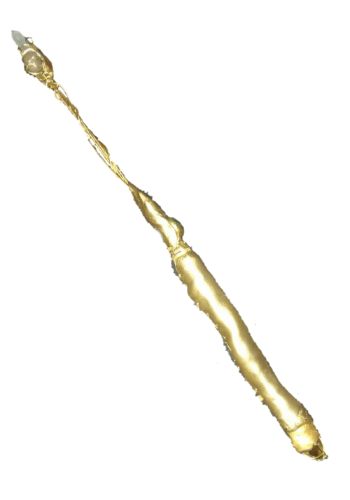 The-scepter-of-meriic-nocu-meriic-nocu-wand.png