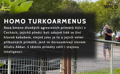 NGmajkjeuch-y-lak.jpg