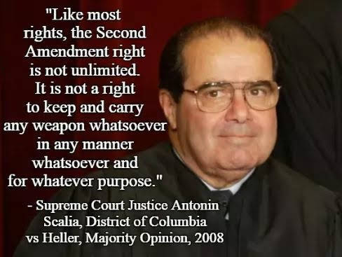 scalia-heller-opinion.jpeg