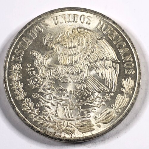 MP218-47-2.jpg