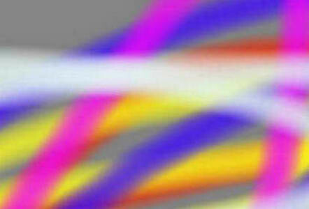 ba2977e389c844294c1.jpg