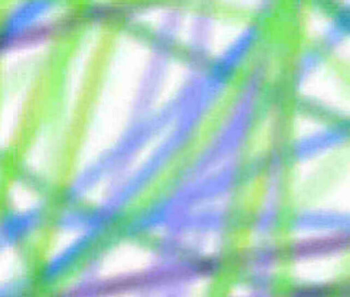 46bbe6fc06c1f02e38.jpg