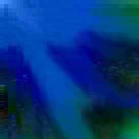 exposed-fag-ZoongSeon-Yi-p-02a-02b-00-01-02-03-04-06-10-0755952e7d62ec5807.jpg