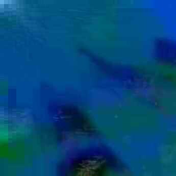 exposed-fag-ZoongSeon-Yi-p-02a-02b-00-01-02-03-04-06-10-11377682379d6fdf9b.jpg