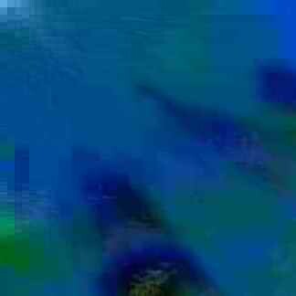 exposed-fag-ZoongSeon-Yi-p-02a-02b-00-01-02-03-04-06-10-1172a7d1f0e2652f70.jpg