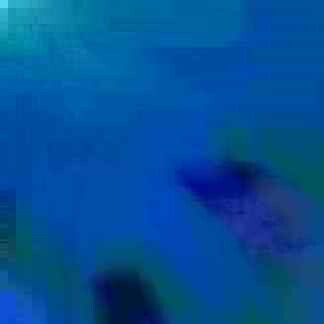 exposed-fag-ZoongSeon-Yi-p-02a-02b-00-01-02-03-04-06-10-135f8f9026a02b1184.jpg