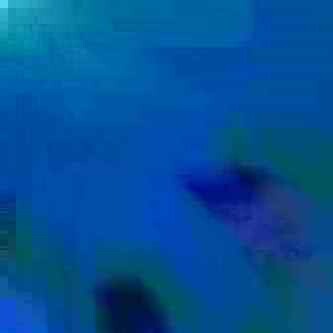 exposed-fag-ZoongSeon-Yi-p-02a-02b-00-01-02-03-04-06-10-13a4bba82541304de3.jpg