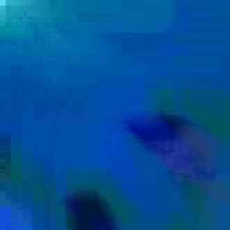 exposed-fag-ZoongSeon-Yi-p-02a-02b-00-01-02-03-04-06-10-13e07bdf0b1bf1bc6d.jpg