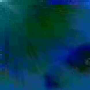 exposed-fag-ZoongSeon-Yi-p-02a-02b-00-01-02-03-04-06-10-22d9c4613ccc08cbfb.jpg