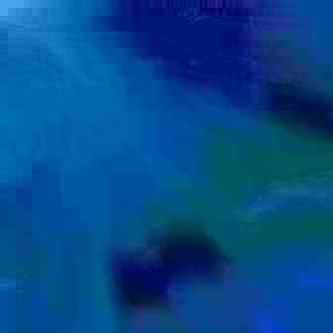 exposed-fag-ZoongSeon-Yi-p-02a-02b-00-01-02-03-04-06-10-35345e041d8394c55a.jpg