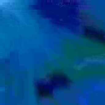 exposed-fag-ZoongSeon-Yi-p-02a-02b-00-01-02-03-04-06-10-3539b3512748bcec44.jpg